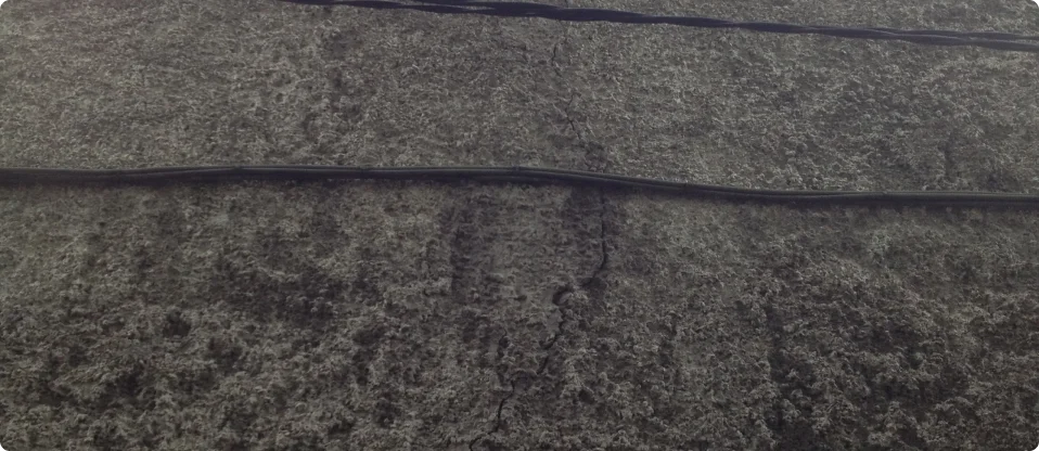 Structural engineer inspecting house subsidence damage in residential property