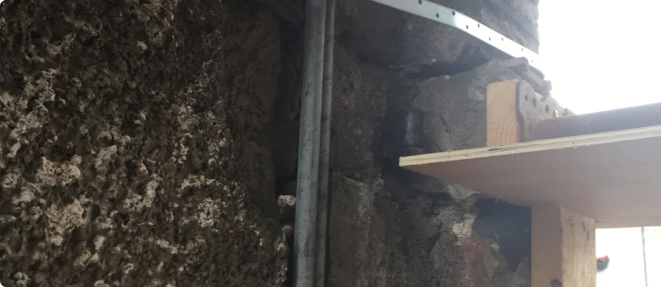 Tree roots causing ground movement leading to house subsidence in residential property